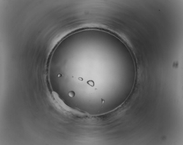 X0000111920895200907271246