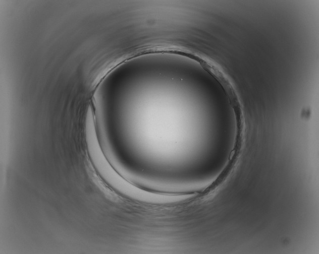 X0000111920897200907271246