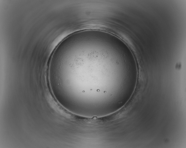 X0000111920899200907271246