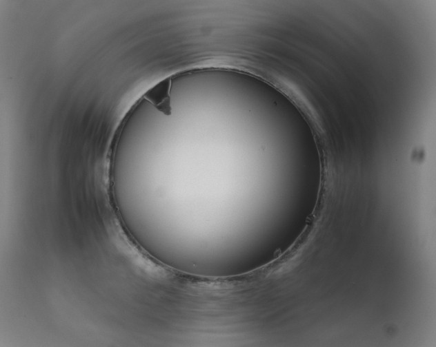 X0000111920900200907271246