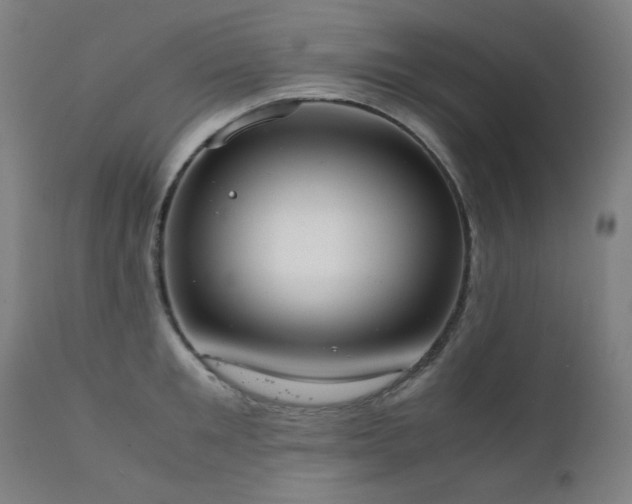 X0000111920901200907271246