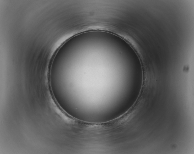 X0000111920902200907271246