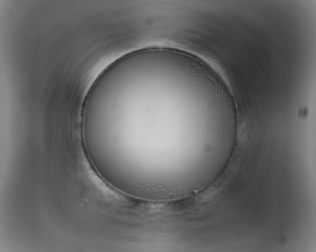 X0000111920903200907271246