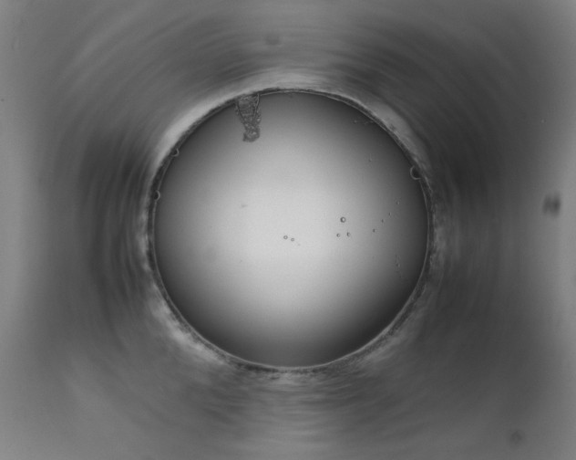 X0000111920904200907271246