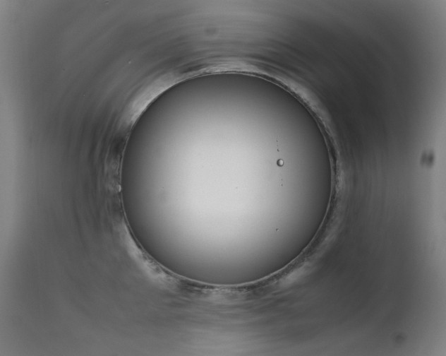 X0000111920905200907271246