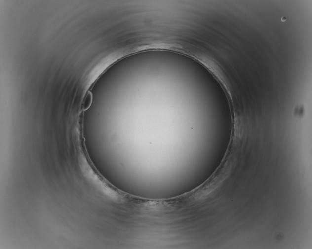 X0000111920906200907271246