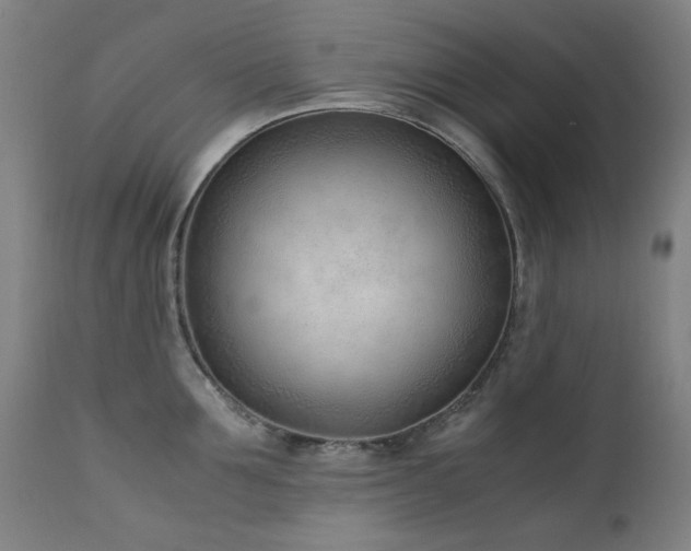 X0000111920907200907271246
