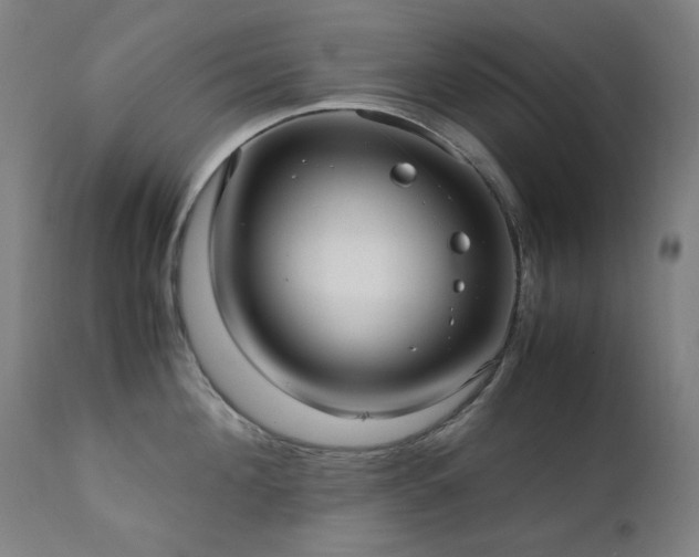 X0000111920908200907271246