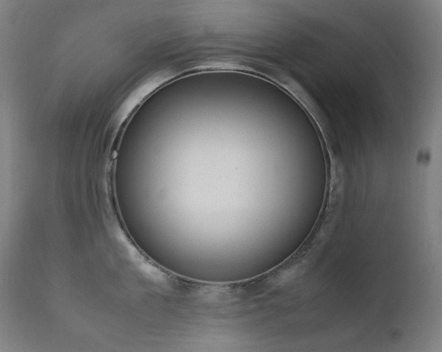 X0000111920909200907271246