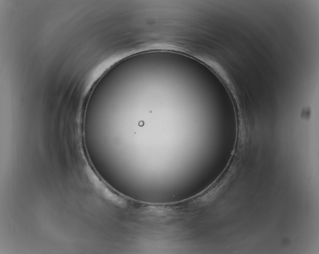 X0000111920910200907271246