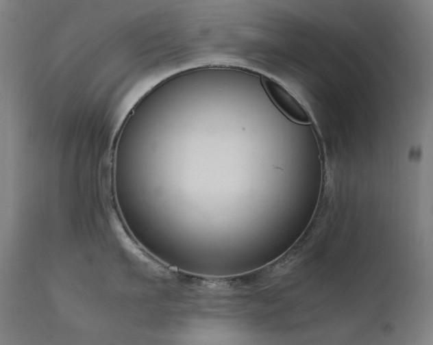 X0000111920911200907271246