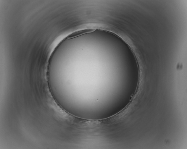 X0000111920912200907271246