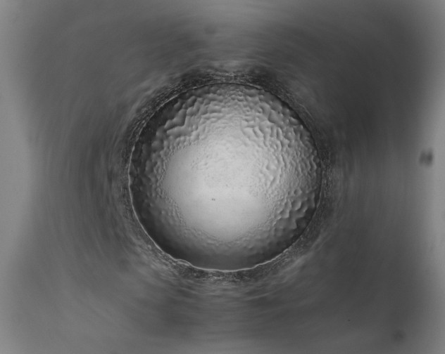 X0000111920913200907271245