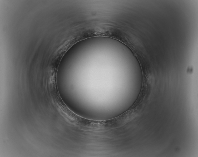 X0000111920914200907271245