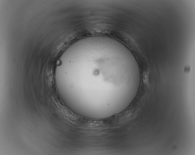 X0000111920915200907271245