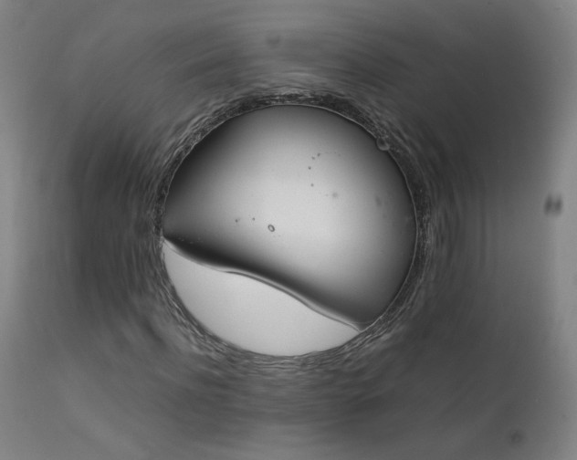 X0000111920916200907271245