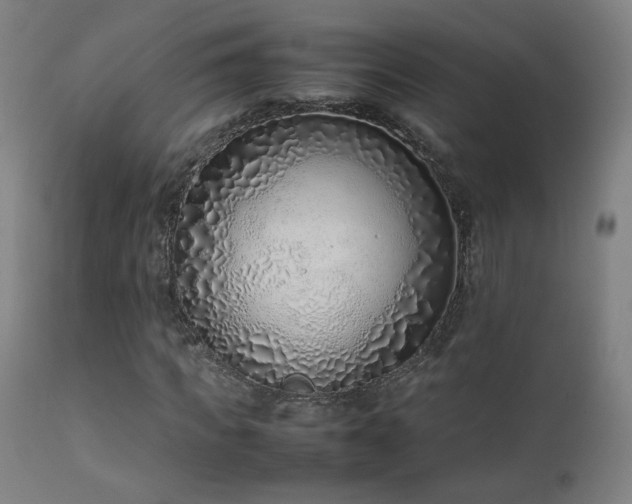 X0000111920917200907271245