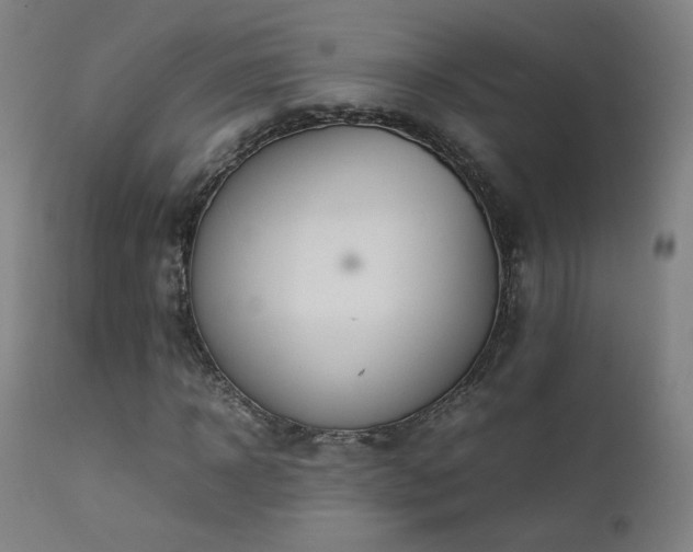 X0000111920918200907271245