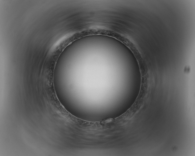 X0000111920919200907271245