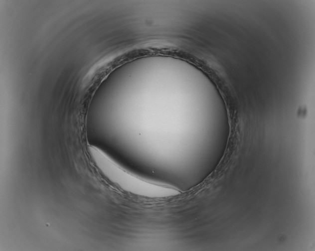 X0000111920920200907271245