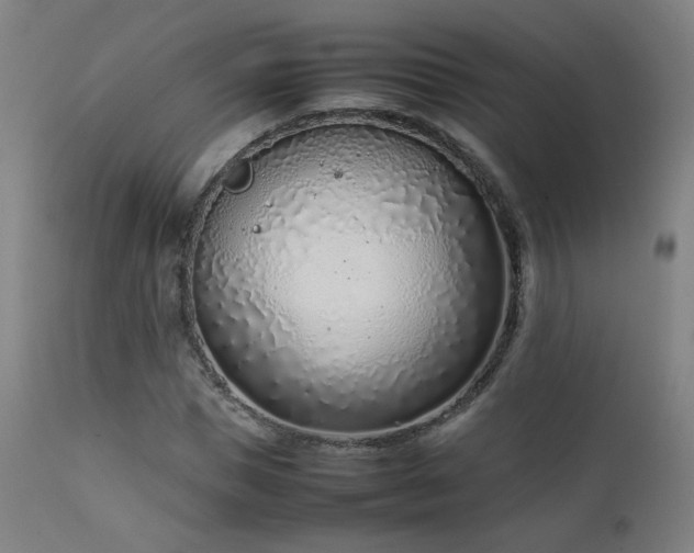 X0000111920921200907271245