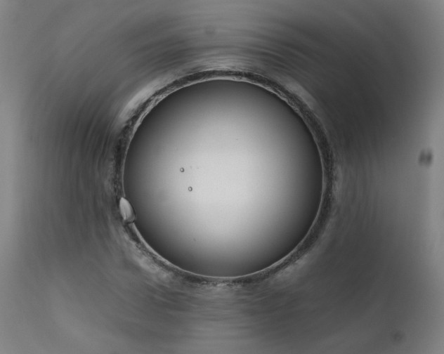 X0000111920922200907271245