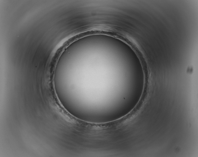 X0000111920923200907271245