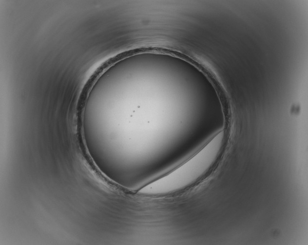 X0000111920924200907271245