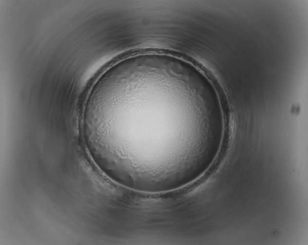 X0000111920925200907271245