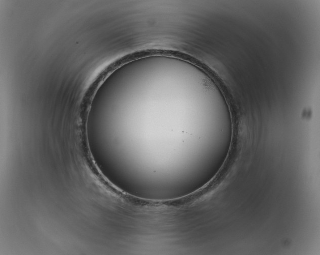 X0000111920926200907271245
