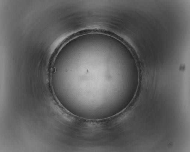 X0000111920927200907271245