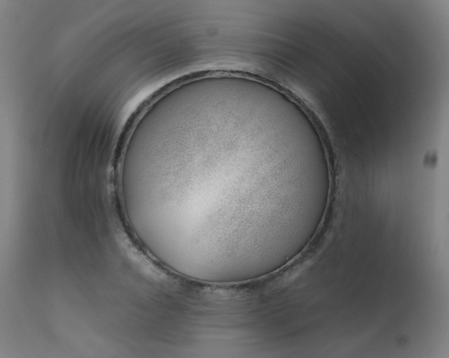 X0000111920928200907271245