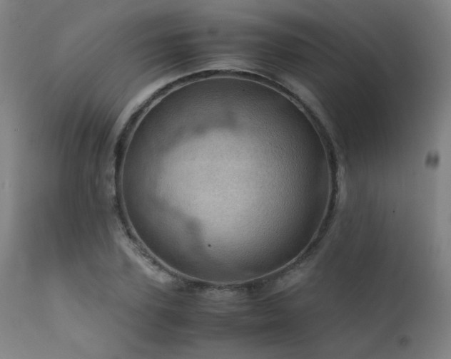 X0000111920931200907271245