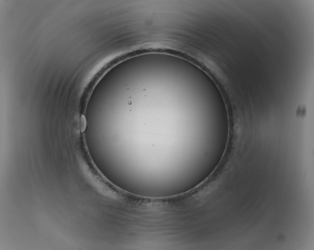 X0000111920934200907271245