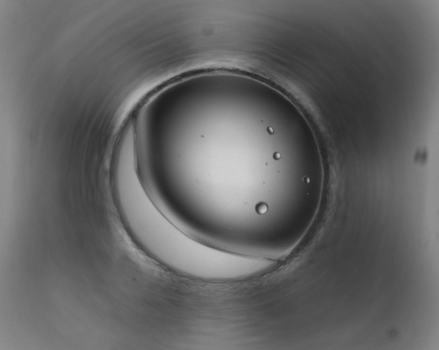X0000111920936200907271245