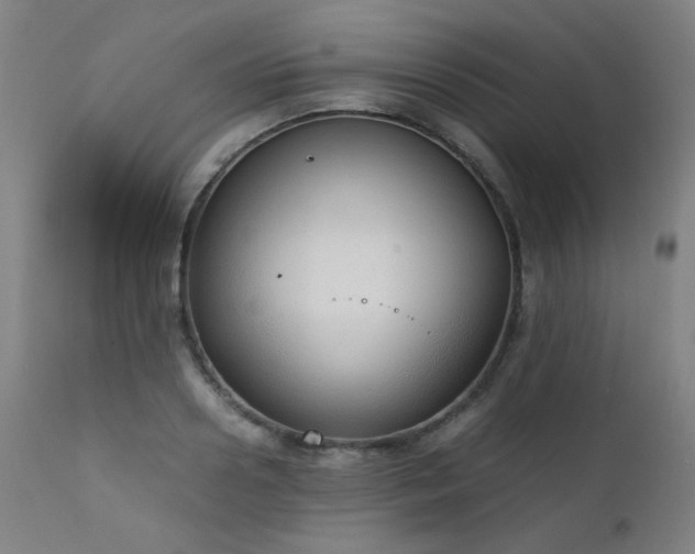 X0000111920938200907271245