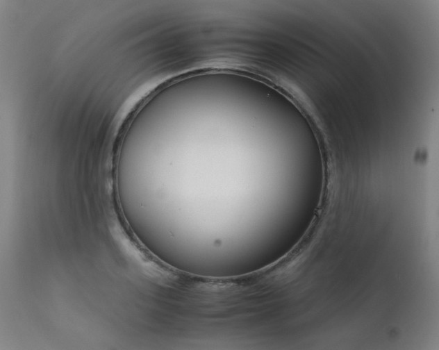X0000111920939200907271245