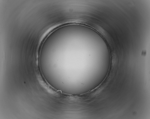 X0000111920940200907271245