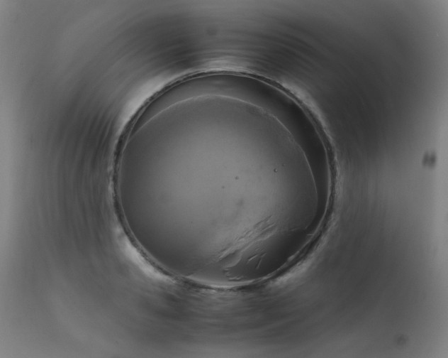 X0000111920941200907271245