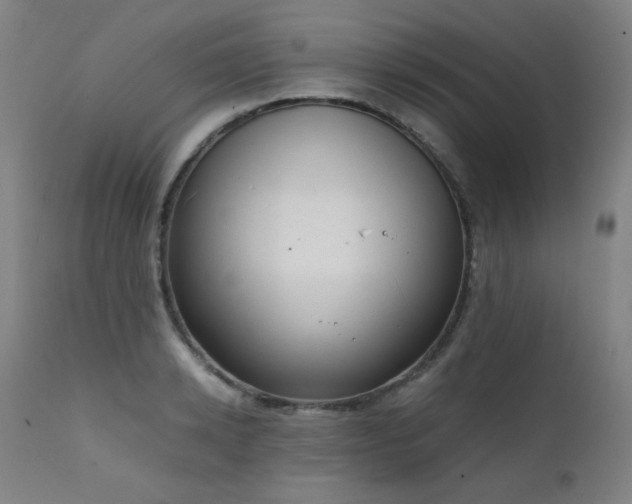 X0000111920942200907271245