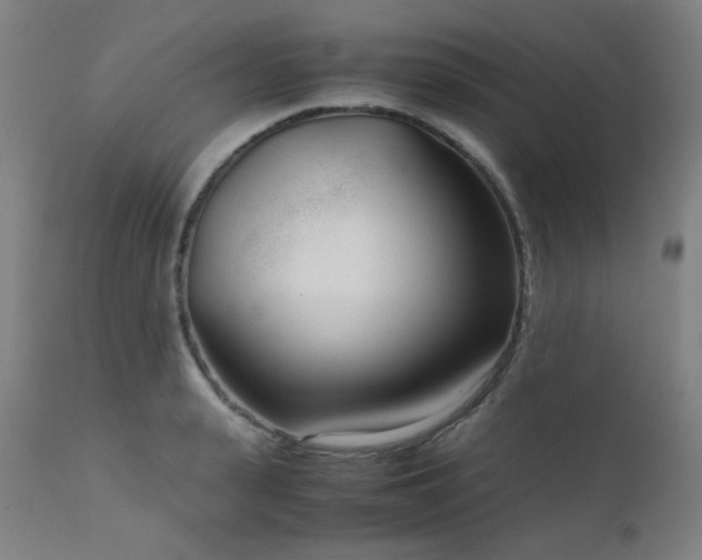 X0000111920943200907271245