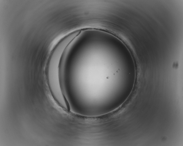 X0000111920944200907271245