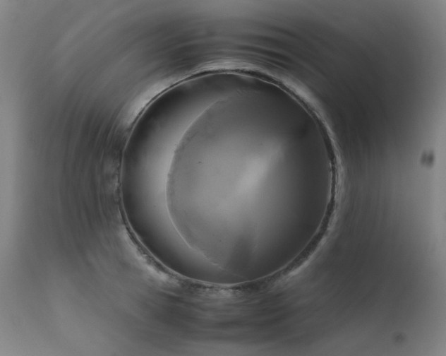 X0000111920945200907271245