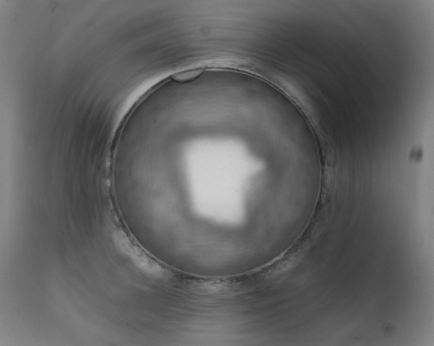 X0000111920948200907271245