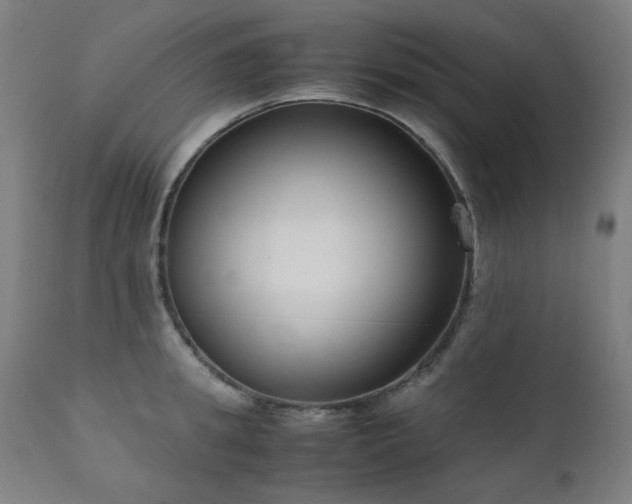 X0000111920949200907271245