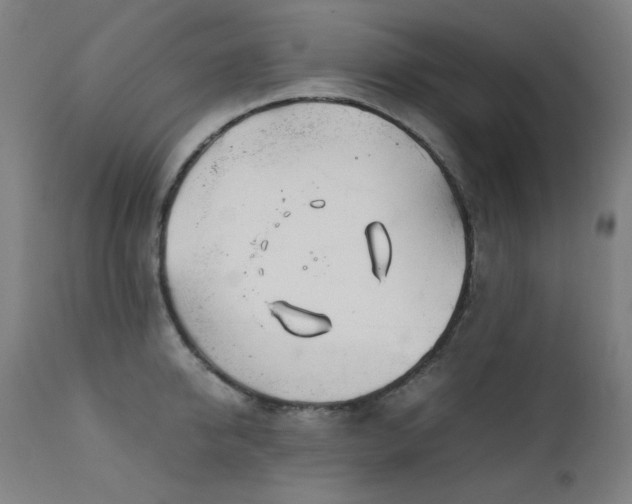 X0000111920950200907271246