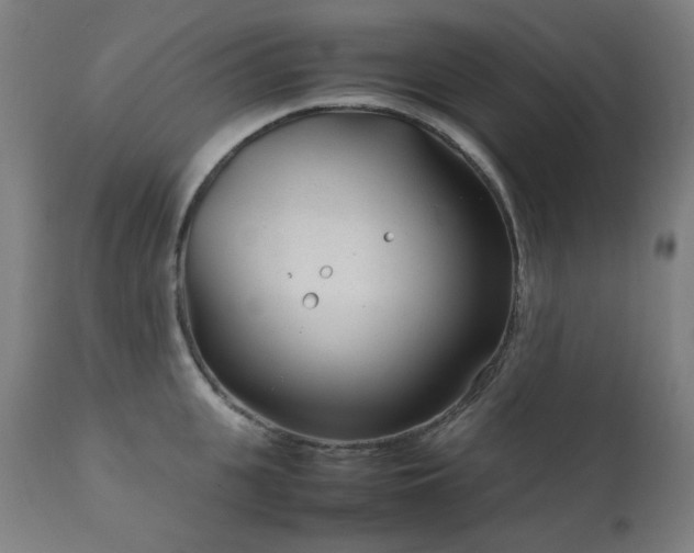 X0000111920951200907271246