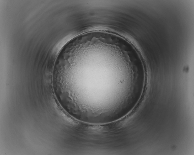 X0000111920953200907271246