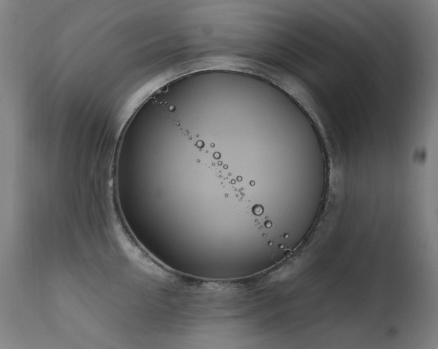 X0000111920954200907271246