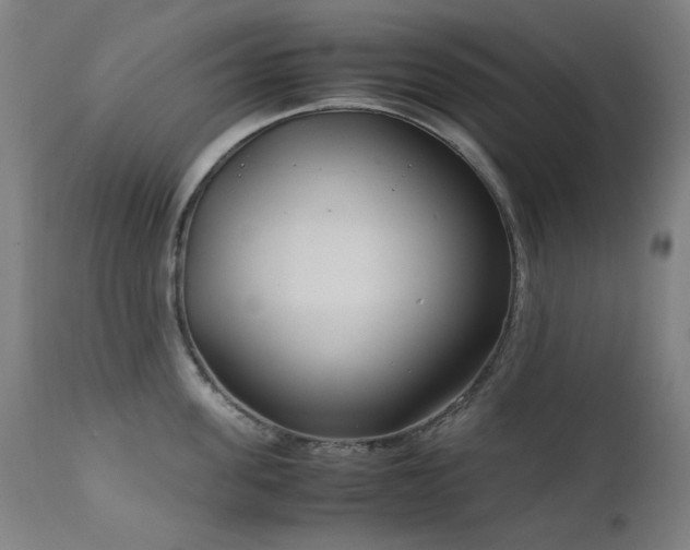 X0000111920955200907271246